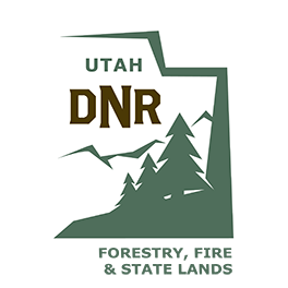 FFSL_logo_264px3
